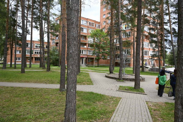 Wald und Wohnblcke wechseln sich ab in Visaginas.