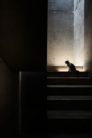 Villa in Puerto Vallarta von HW Studio