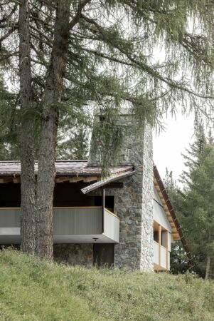 bergmeisterwolf in Sdtirol