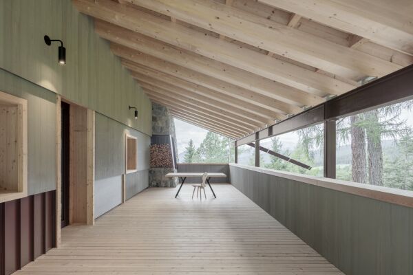 bergmeisterwolf in Sdtirol