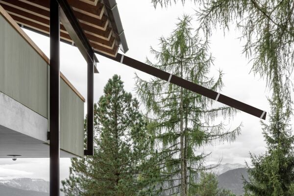 bergmeisterwolf in Sdtirol