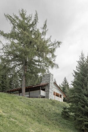 bergmeisterwolf in Sdtirol