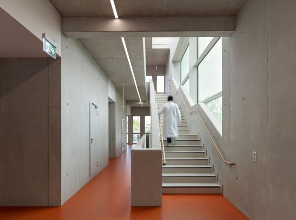 Institutsgebude in Heidelberg von kister scheithauer gross