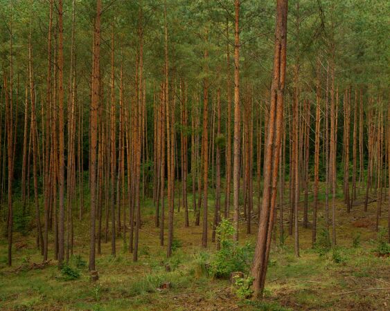 Konferenz in Potsdam