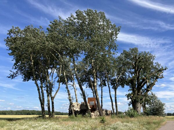 Engagementpreis 2025:  Heinz-Dieter Lohrer und Gordon Thalman