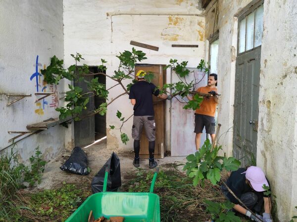 Raus aus dem Dornr�schenschlaf - Casa Branca: Sanierung 2024 - Entfernung der Bewachsung im Inneren des Hauses