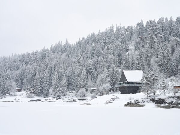 Restaurant von Corinna Menn Studio