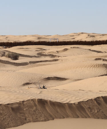 Brunnensanierungen in K�bili (Tunesien) von Collective Bled el Abar