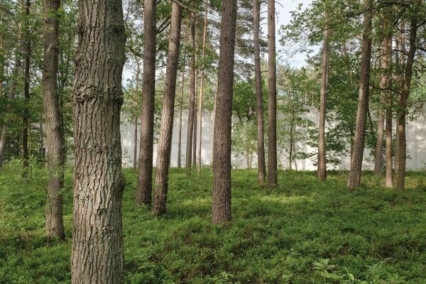 Aus der Ausstellung �Tools for Better Cities�: Projekt Dokumentationszentrum der Gedenkst�tte Bergen Belsen