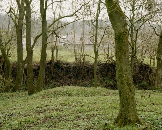 Einfamilienhaus in Ungarn von OKKA Architects