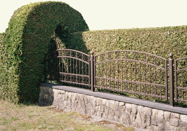 �Und hinter tausend Hecken... Eine neue Welt!� von Luisa Fiedler (Technische Universit�t Berlin)