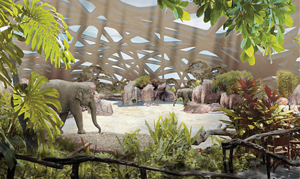 Elefantenpark in Zrich geplant