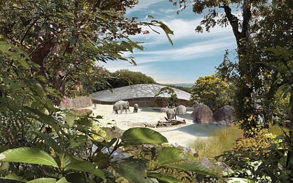 Elefantenpark in Zrich geplant