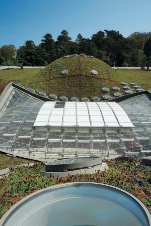Renzo Piano, Revitalisierung und Expansion der Kalifornischen Akademie der Wissenschaften, San Francisco
