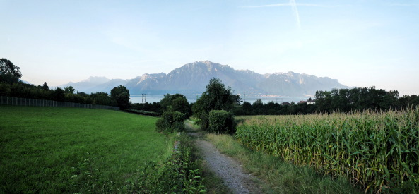 En Sully ist eines der letzten unbebauten Baugrundstcke auf der Schweizer Seite des Genfer Sees