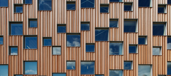 Henning Larsen Architekten, Schweden, Architekturfakultt