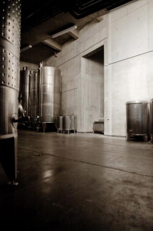 Plant, Peter Kis, Bea Molnar, Batar, Weingut, Laposa, Ungarn, Plattensee, Badacsony