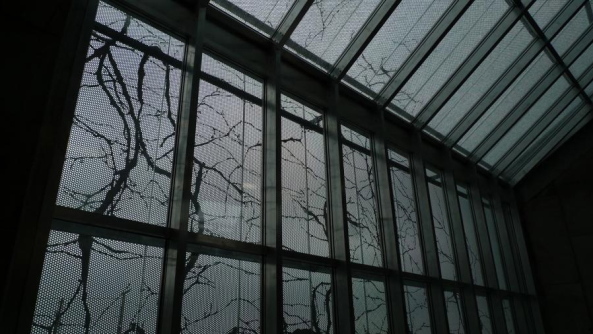 Plant, Peter Kis, Bea Molnar, Batar, Weingut, Laposa, Ungarn, Plattensee, Badacsony