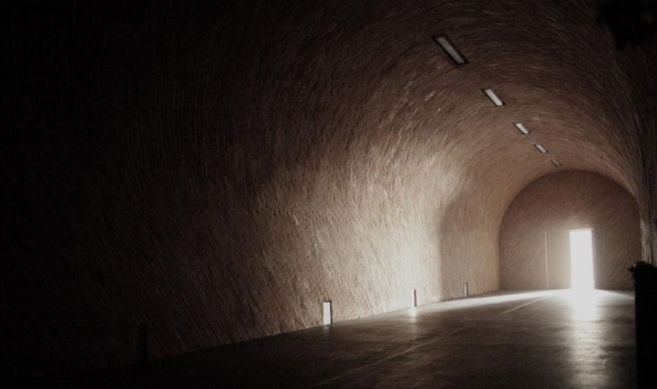 Plant, Peter Kis, Bea Molnar, Batar, Weingut, Laposa, Ungarn, Plattensee, Badacsony