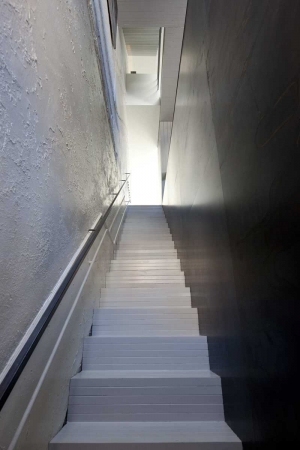 Rotterdam, Revitalisierung, Studio Rolf