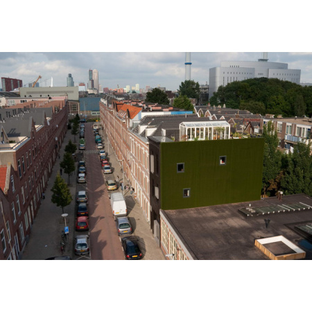 Rotterdam, Revitalisierung, Studio Rolf